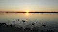 DSC00646 00
